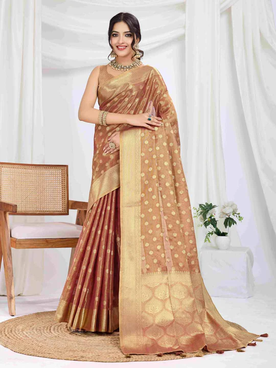 Traditional Banarasi Brocade Saree